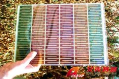 廉價太陽能電池被新西蘭學者發現
